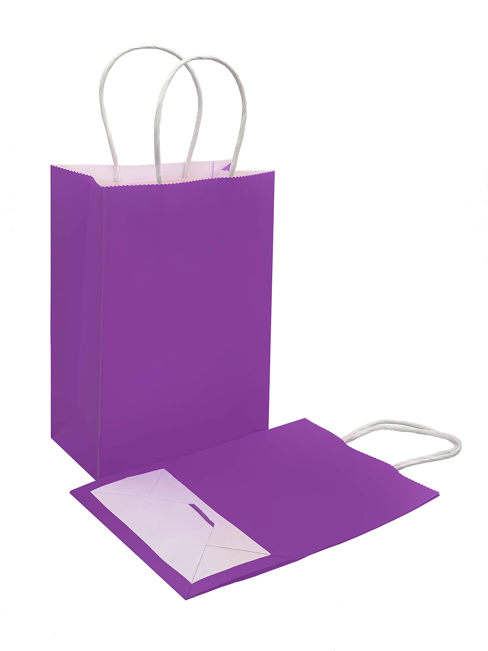 Pack of 6 Vertical Paper Gift Bags Plain Colour 22 x 15 x 8 cm (Purple)