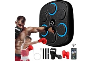 BIRDDIE Music Boxing Machine with Gloves, Wall Mounted Smart Bluetooth Music Boxer for Adults, Home Workout and Gym