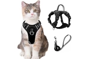 BARKBAY Cat Harness and Leash Set for Walking Escape Proof for Small Large cat Kitten Harness with ID tag Pocket (Black,XXS)