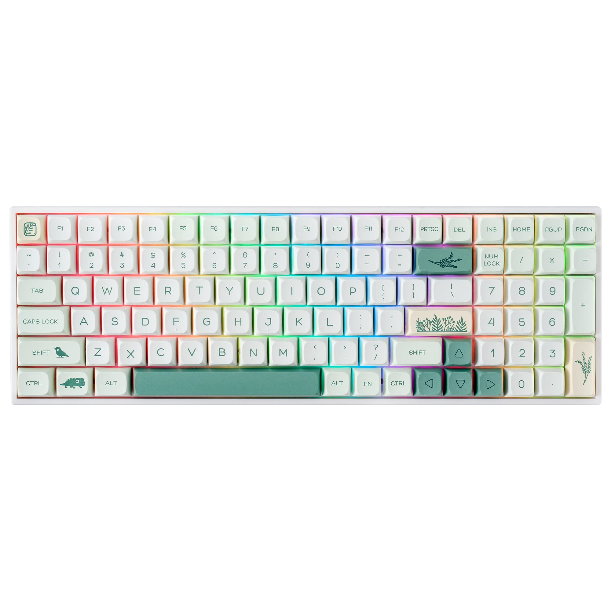 BOYI TK96 96% RGB Hot Swappable Triple Mode Keyboard,2.4Ghz/BT 5.0/Wired N-Key Rollover Compact Yellow Switch Mechanical Gaming Keyboard(Zoological&Botanical Gardens XDA Keycaps)