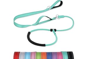 Aiyuda 6 FT Slip Leads for Dogs, Reflective Dog Lead with Padded Double Handle, No Tangle Dog Training Leashes for Small & Medium & Large Dogs, Turquoise