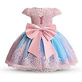 HNXDYY Baby Girl Tutu Dress Princess Lace Embroidery Wedding Party Gown