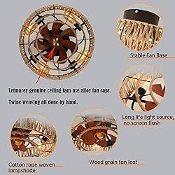 Letmarey 20" Caged Ceiling Fans with Lights and