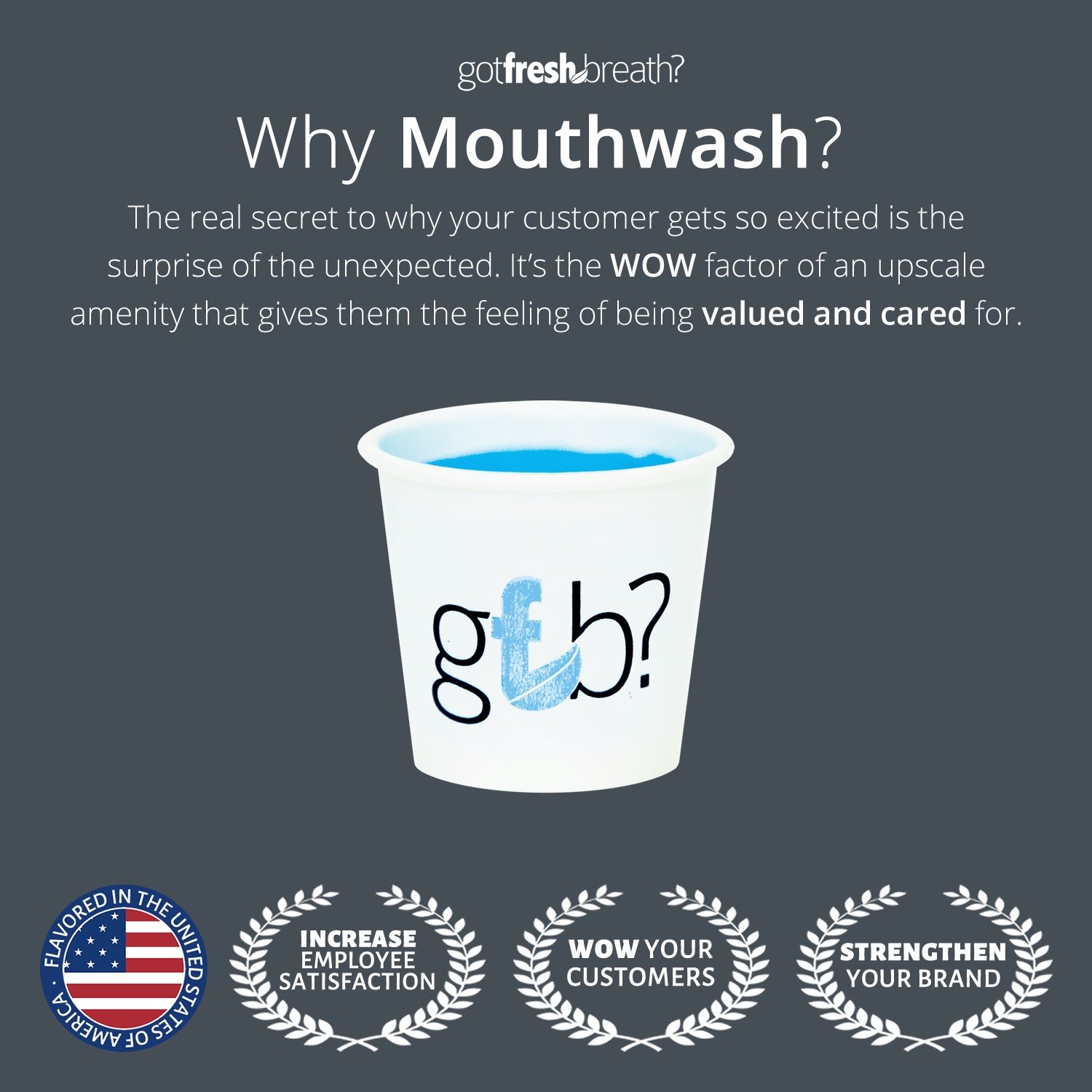 Mouthwash Dispenser Mini (Black) for GotFreshBreath AlcoholFree Mouthwash Buy Online in UAE