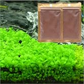 LUKAWES 2 Pack Aquarium Plants for Fish Tank Easy Growing Real Carpet Decor for Fish Tank