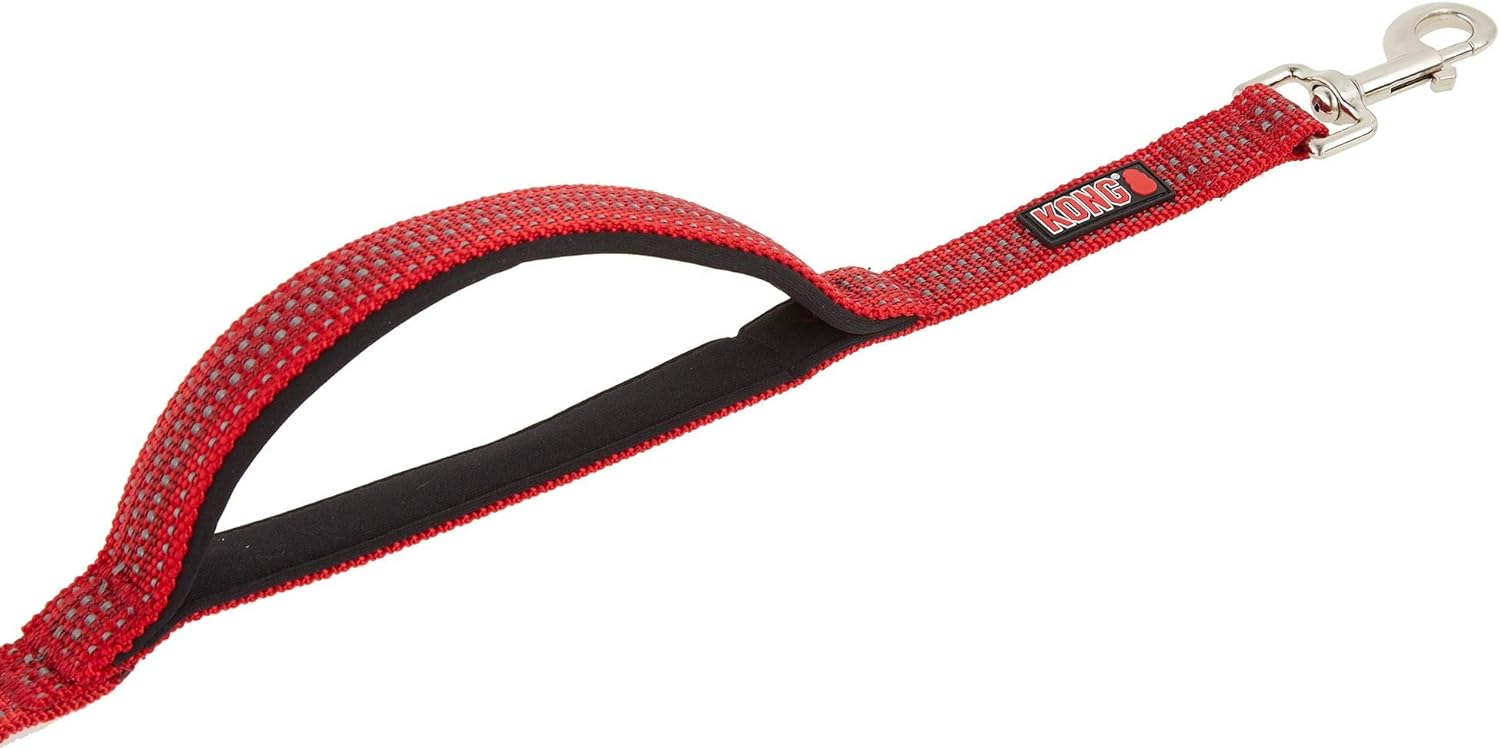kong reflective traffic dog leash
