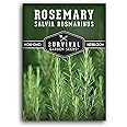 1 Pack Rosemary Herb Seeds for Planting - Salvia Rosmarinus with Instructions to Grow in Your Home Vegetable Garden - Non-GMO Heirloom Rosemary Plant Seeds for Herb Garden - Survival Garden Seeds
