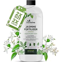 jasmineページ Amazon.com : 200+ Climbing Jasmine Flower Seeds for Planting