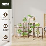 Bamworld 5-Tier Plant Stand Corner Indoor Outdoor Wooden Shelf view 4