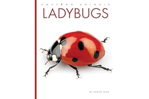 Ladybugs
