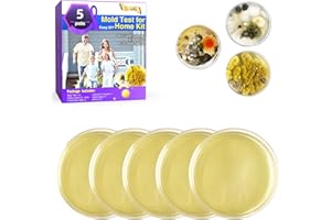 JXGKL Mold Test for Home Kit,Home Mold Test,DIY Detector at Furniture,Wall Facing,Indoor Air Quality Testing Kits,Simple Detection Tests,air Tester,Black26 Mold Testing,Home Mold Testing,Include Guide