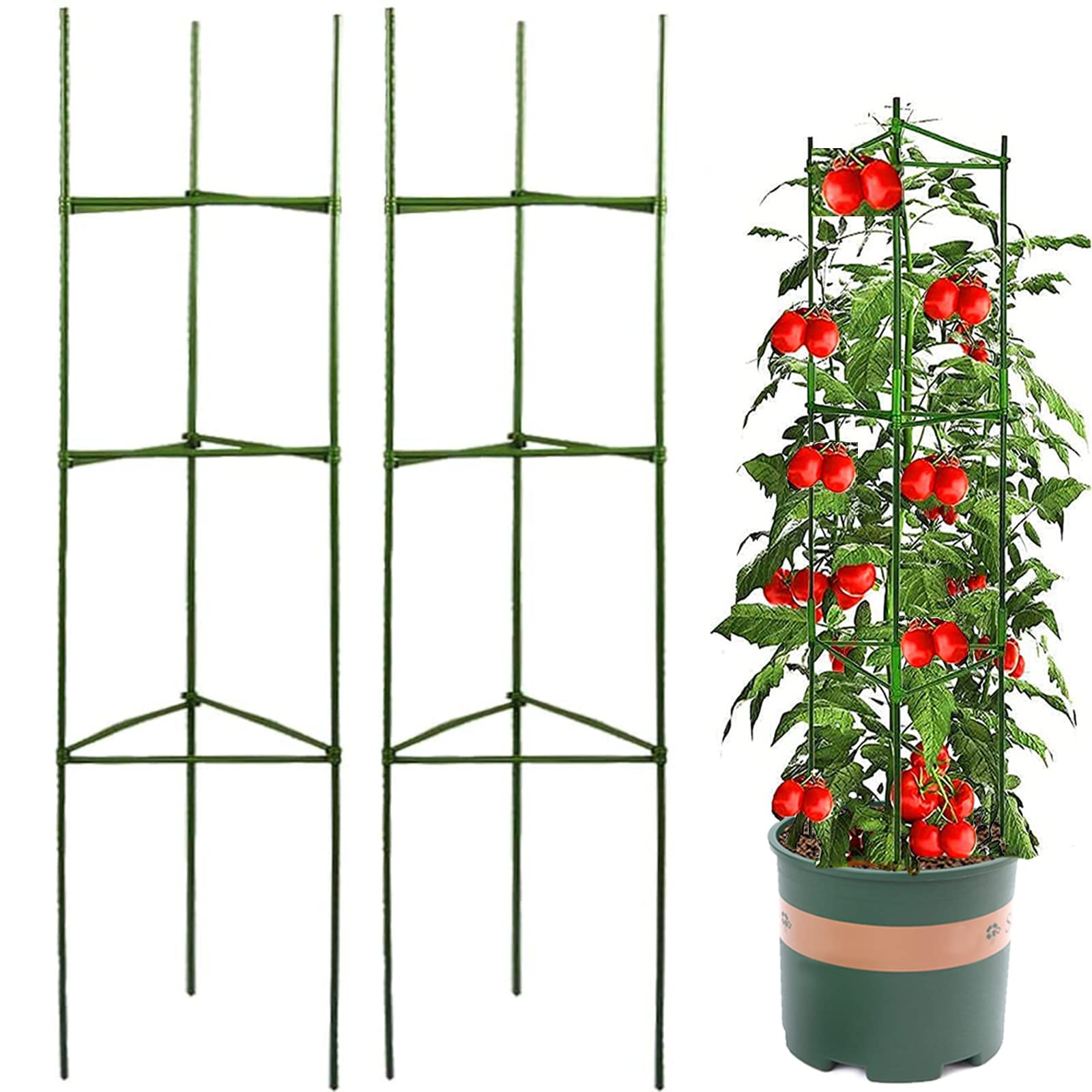 Garden Tomato Plant Support, Plant Cages Support Frame Trellis, Green Plastic Coated Metal Stakes Climbing Vines Plant, for Flowers Fruit Vegetables Grow (Double Groups)