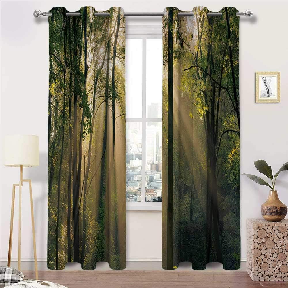 Amazon Com Curtain Panels Forest Block Out Drapes Outside Curtain Morning Sunrays Shining Through Trees Summertime Countryside Scenic View For Kitchen Nursery Study Room 2 Grommet Top Curtain Panels 38 W X 45 L Home Kitchen