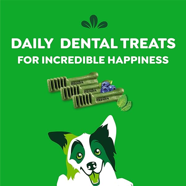 GREENIES REGULAR NATURAL DENTAL CARE DOG TREATS, 36 OZ. VARIETY PACK, 3 PACKS OF 12 OZ. TREATS