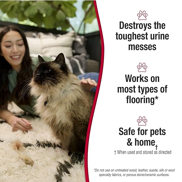 NATURE’S MIRACLE URINE DESTROYER PLUS FOR CATS, UNSCENTED, ENZYMATIC FORMULA FOR SEVERE CAT URINE STAINS, 1 GAL