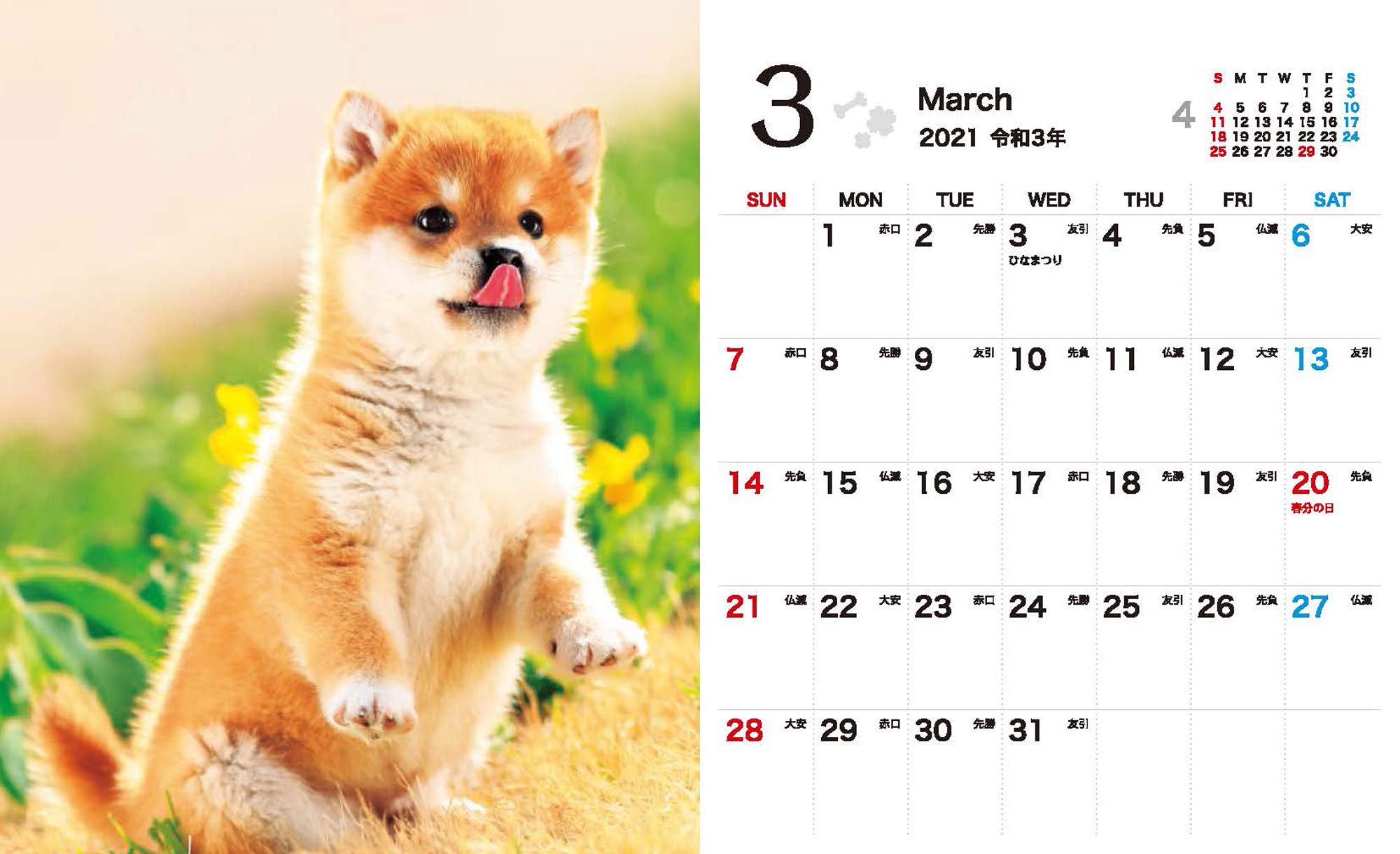 卓上 しばいぬ日和 Miniカレンダー 21 インプレスカレンダー21 森田米雄 本 通販 Amazon