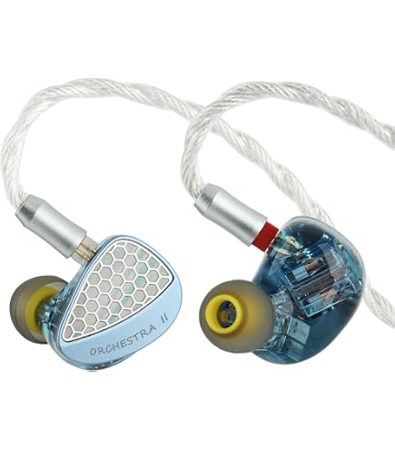 Amazon.com: syeindunce SeeAudio Bravery '24 4BA Drivers IEM