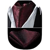 HISDERN Ascot Ties for Men Paisley Floral Ascot and Pocket Square Set Classic Self Tie Mens Cravat Handkerchief for Wedding