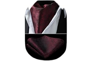 HISDERN Ascot Ties for Men Paisley Floral Ascot and Pocket Square Set Classic Self Tie Mens Cravat Handkerchief for Wedding