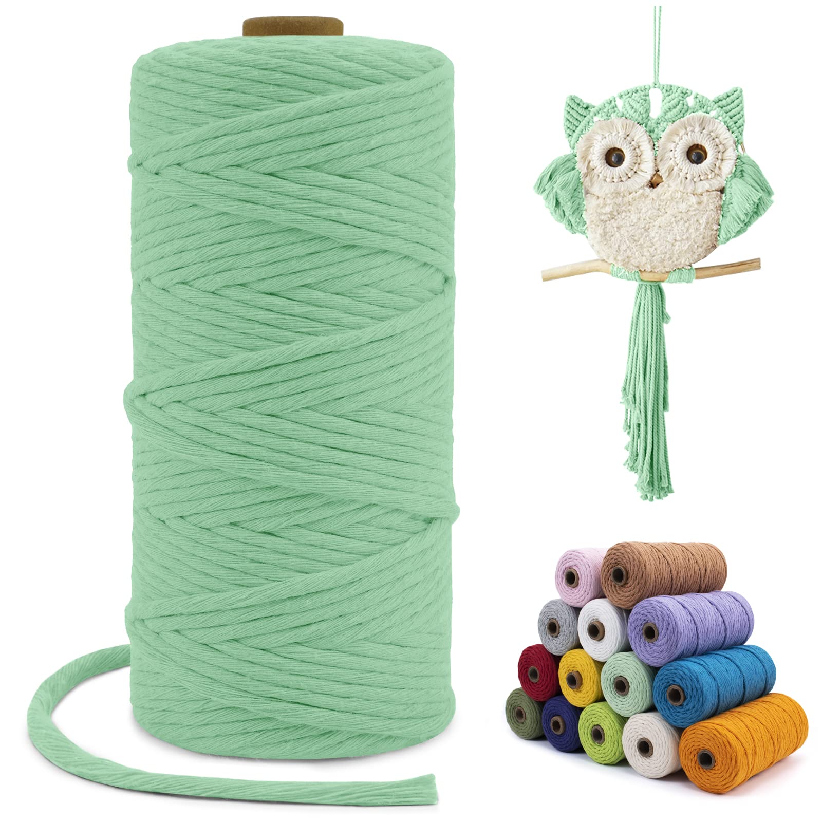LEREATI Macrame Cord 3mm x 100m, Single Strand Thick Macrame Rope Yarn Natural Cotton Cord, Craft Macrame String for Plant Hanger, Wall Hanging, Knitting, DIY, Home Decorations (Aqua Green)