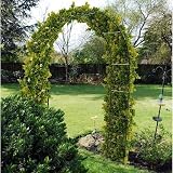 Garden Mile Garden Arch 2.4m Heavy Duty Steel Arbour Frame view 4