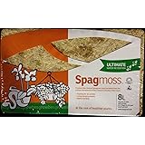 New Zealand Sphagnum Moss (100 grams)