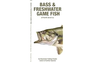 Bass & Freshwater Game Fish of North America, 2nd Ed