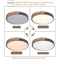 EDISLIVE Ceiling Light Dimmable 15 inch Modern