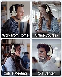 Wireless Headset with Mic for Work with AI Noise