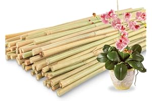 AVALUTION 50Pcs / 18 inch Bamboo Plant Stakes for Indoor Outdoor Plants, Garden Plant Support Sticks, Poles for Tomato Vegetables Beans Trees Potted Climbing Plants(0.32''-0.4'')