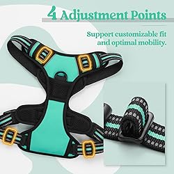 rabbitgoo Dog Harness No Pull with 2 Leash