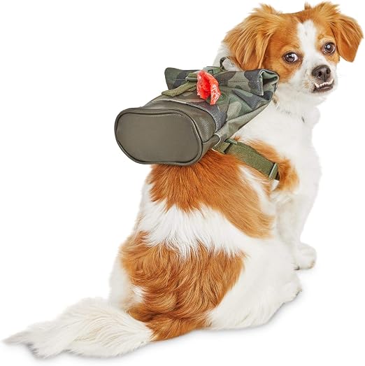 Reddy Camo Canvas Dog Backpack, Small 