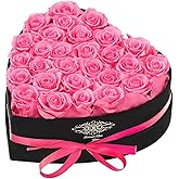 Agrul Valentines Day Roses Gifts for Women,Forever Preserved Flowers Roses in a Heart Shape Box,Anniversary Birthday Valentines Day Gifts for Her Wife Women Best Friend Daughter/28Pcs Pink