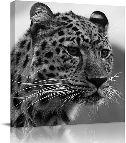 Amazon.com: Canvas Wall Decor for Living Room/Bedroom/Bathroom/Office