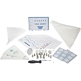 Wilton Decorating Basics Student Kit- Discontinued By Manufacturer