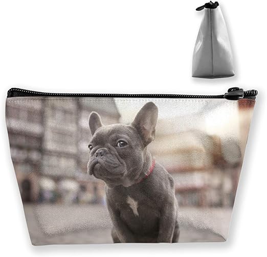 french bulldog accessories amazon