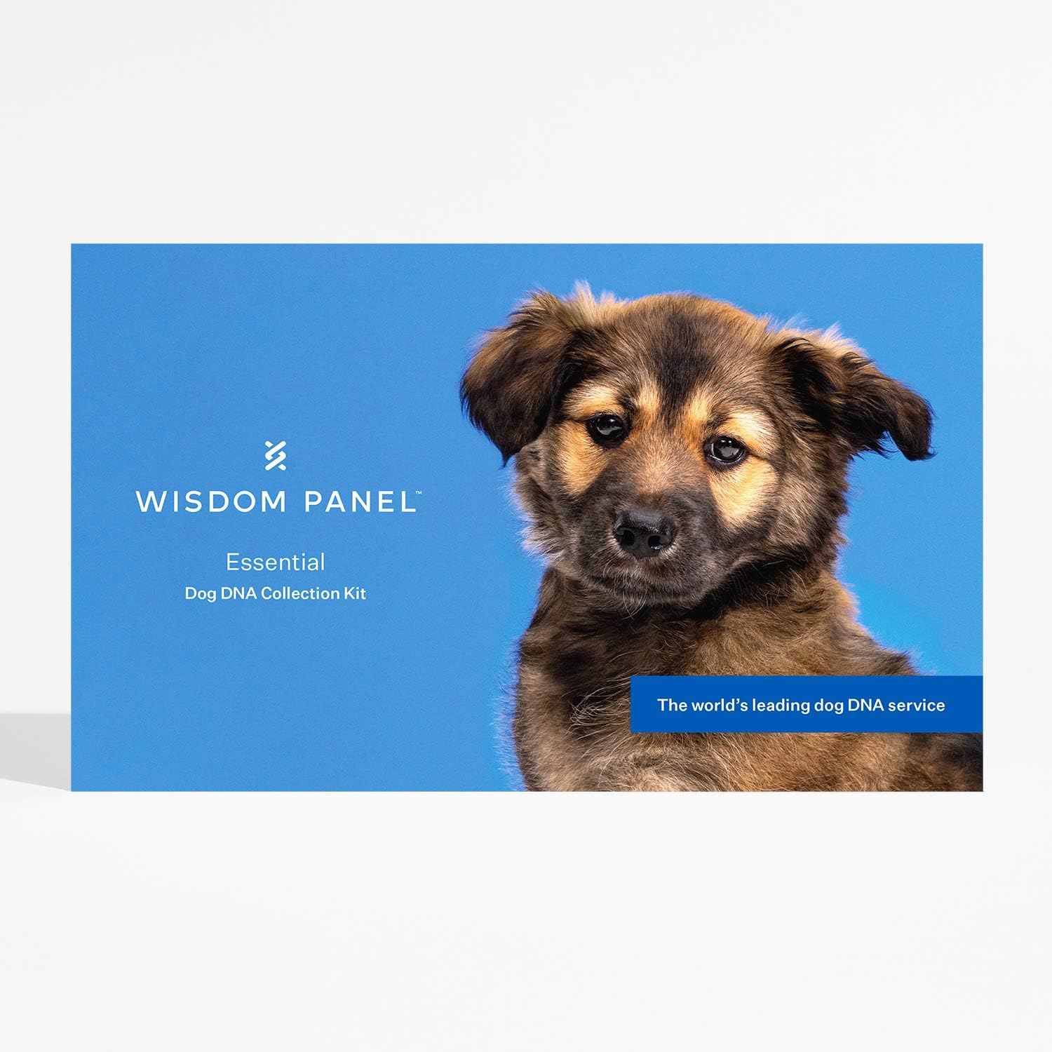 Wisdom Panel Essential: Most Accurate Dog DNA Test Kit for Breed ID and Ancestry, white, 75 g (Pack of 1)