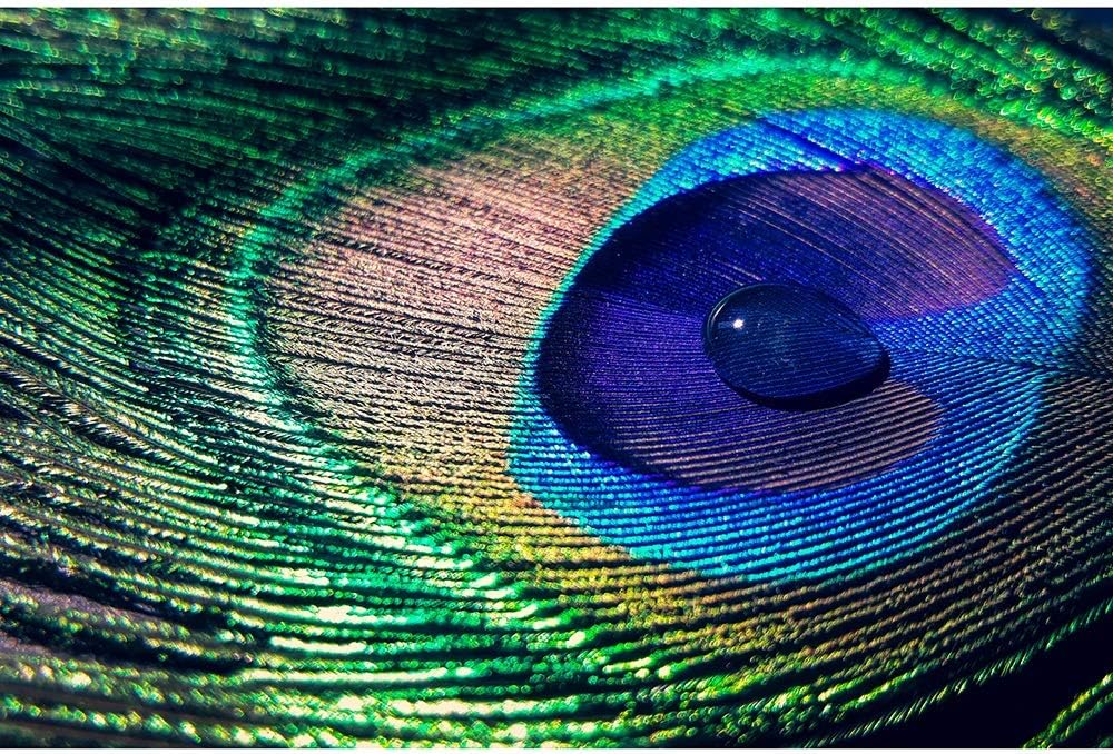 Puzzle A Drop Of Water On A Peacock Feather Wooden Jigsaw Adults Colourful Series Educational 500-5000 Pieces Decoration Gifts 0424 (Size : 4000 pieces)