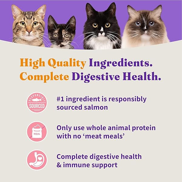 HALO HOLISTIC CAT FOOD WILD CAUGHT SALMON & WHITEFISH FORMULA, HEALTHY GRAINS DRY CAT FOOD, COMPLETE DIGESTIVE HEALTH, KIBBLE FOR ADULT CATS, 6 LB BAG