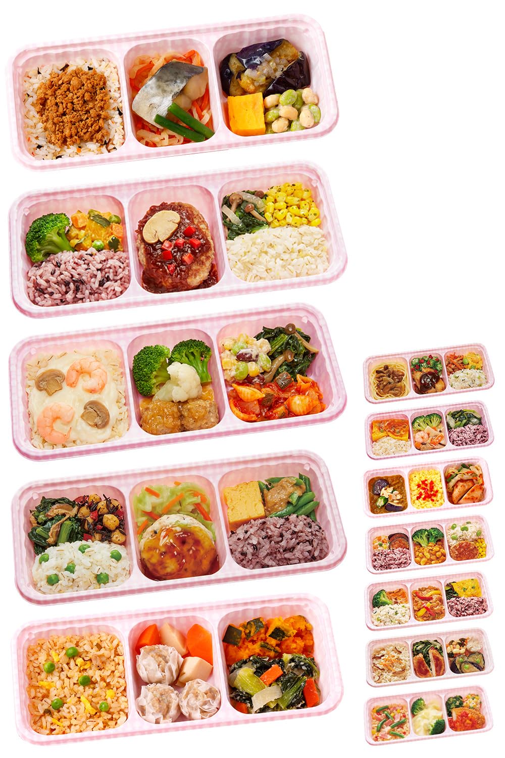 ニチレイ ウーディッシュ 冷凍弁当 12食セット ごはん付 主食付 宅配弁当 おかず の商品画像