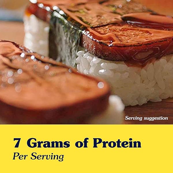 HORMEL FOODS SPAM, 12 OZ CAN