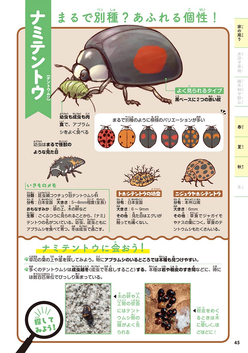 探検 里山いきもの図鑑 Amazon Com Books