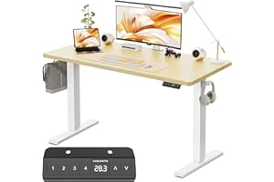 WALKINGDESK 48x24 Inches Height Adjustable Electric Standing Desk with 2 Hooks for Home Office, Ergonomic Sit Stand up Desk w