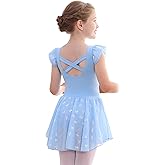 Mecceos Girls Ballet Leotards Skirt Toddler Dance Ballerina Dresses Outfit Gymnastic Ruffle Butterfly Sleeve