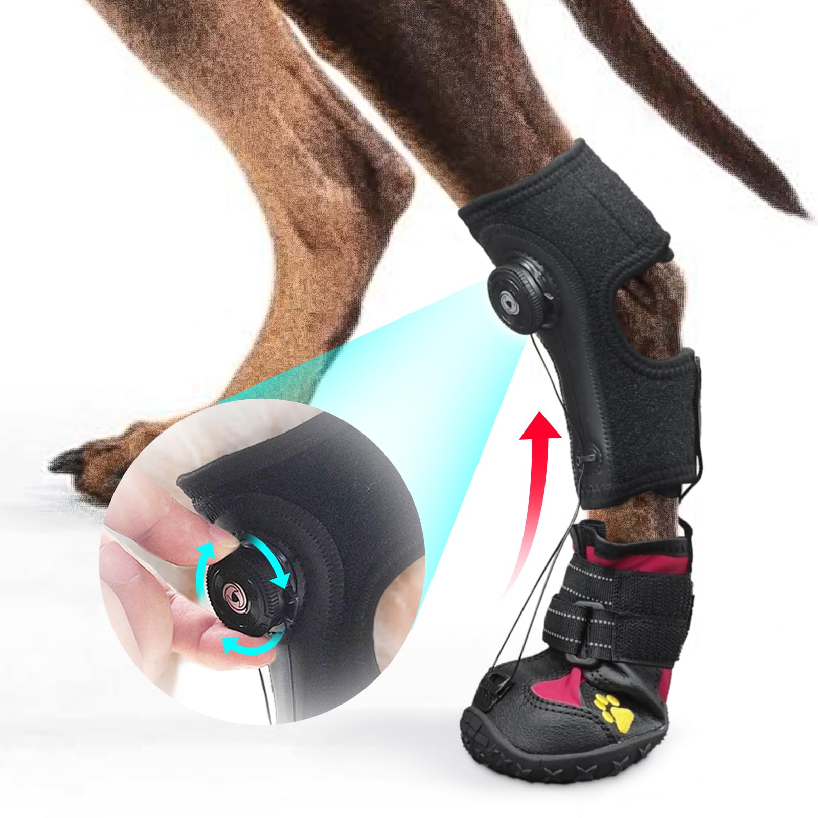 Photo 1 of Drop Foot Brace with Reel(No Knuckling Boot Brace) for Dog - Corrective Dog Shoes to Safely Lift Toes for Foot Issues, Arthritis, and improving Walking gait in Dogs,Patent Pending(M)