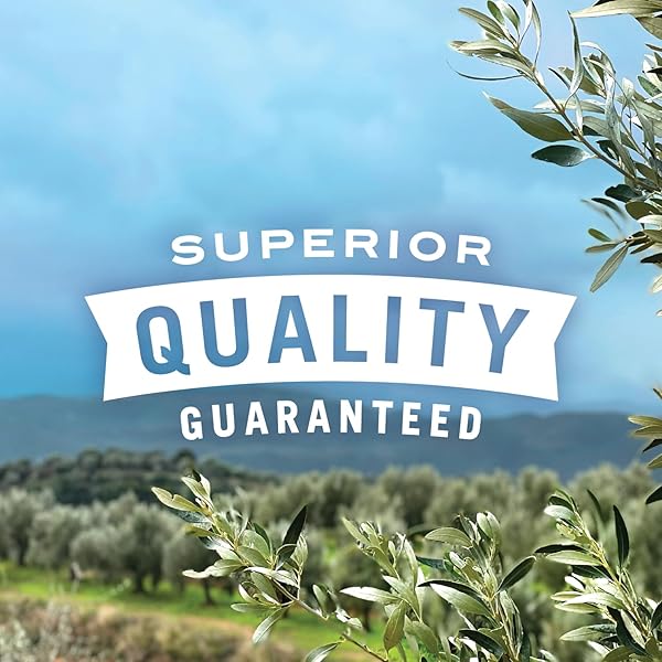 PEARLS OLIVES TO GO! PIMIENTO STUFFED MANZANILLA OLIVES, 1.6OZ INDIVIDUAL SNACK CUPS, 24 PACK, CALIFORNIA GROWN, NON-GMO, GLUTEN-FREE, LIQUID-FREE CUP, EASY OPEN, READY-TO-EAT OLIVE SNACKS