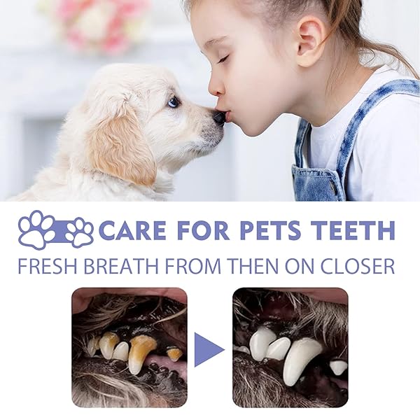 COLORCASA 2 PCS PET ORAL CARE SPRAY,2023 NEW PET CLEAN TEETH SPRAY,PET CLEAN TEETH CLEANING SPRAY FOR DOGS & CATS,PET ORAL SPRAY CLEAN TEETH,PETCLEAN NO BRUSHING PET ORAL CARE SPRAY