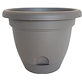 Bloem Living LP0860 Lucca Self-Watering Planter, 8-Inch, Peppercorn