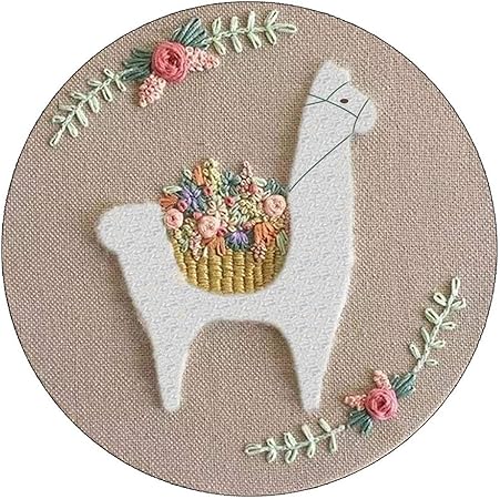 Amazon Co Jp おかしいクロスステッチキット 刺繍diy手作りキット初心者刺繍練習キットクロスステッチモダンウォールペインティングアートホームデコレーションミートセット 1 Kitchen Housewares