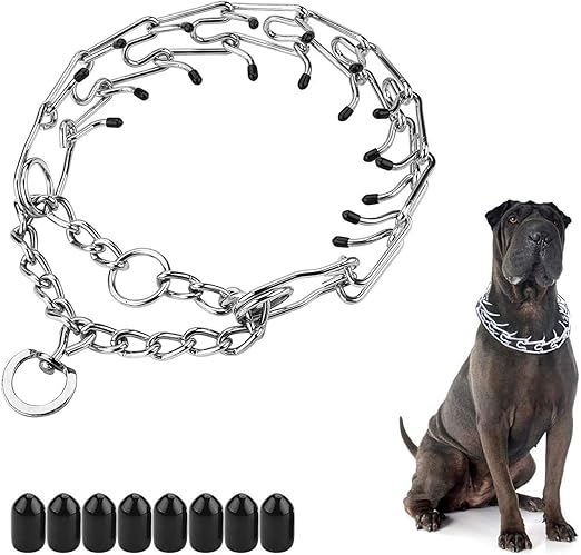 prong collar training video